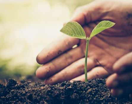 جمعية خيريه بالكويت – الجمعية للتبرعات العينية