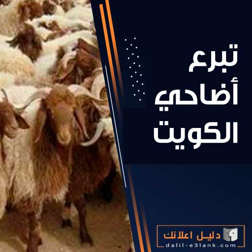 تبرع أضاحي الكويت