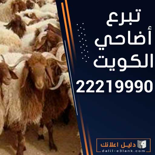 تبرع أضاحي الكويت تبرع أضاحي الكويت