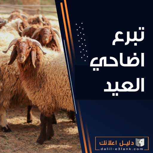 تبرع اضاحي العيد