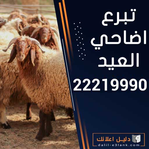 تبرع اضاحي العيد تبرع اضاحي العيد