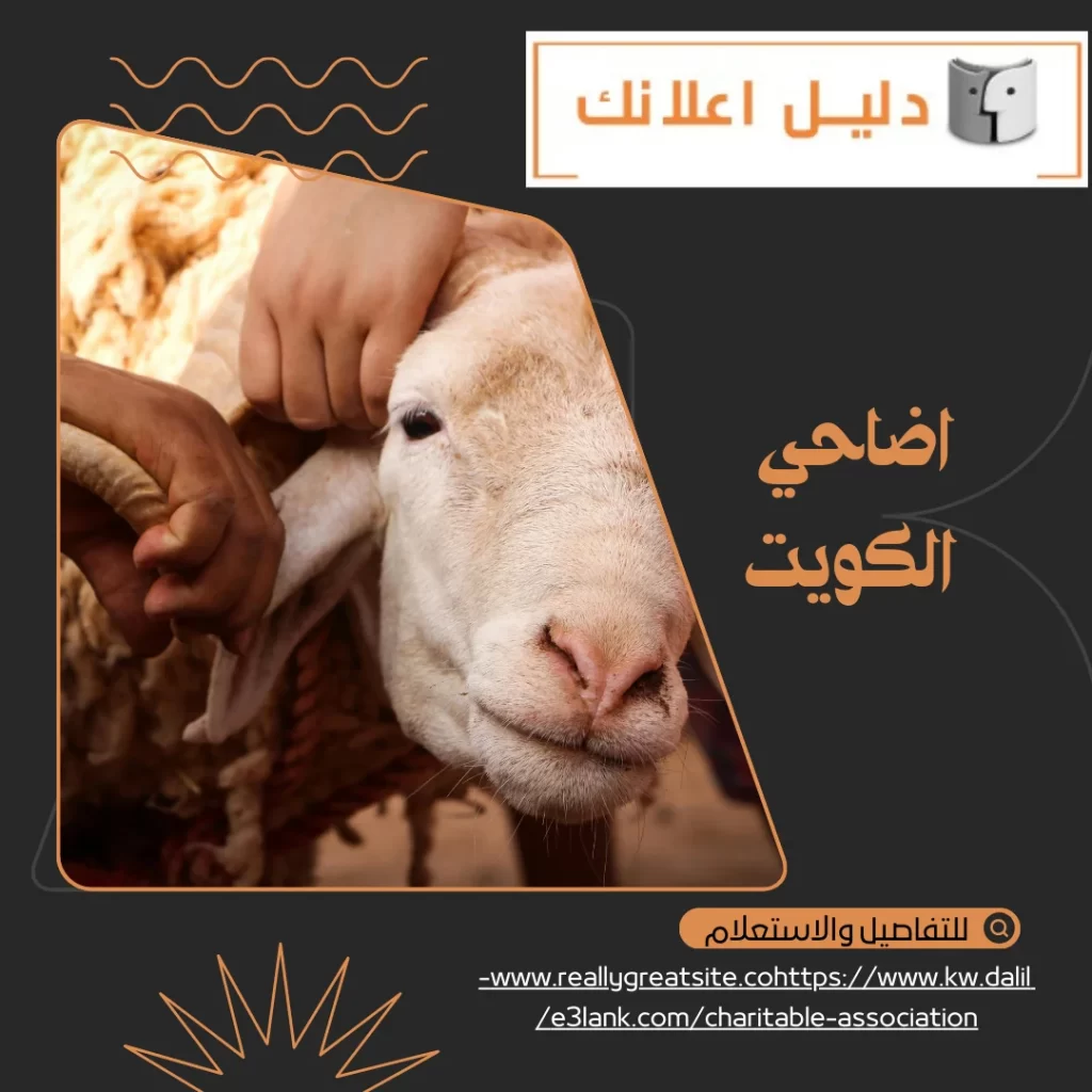 اضاحي الكويت